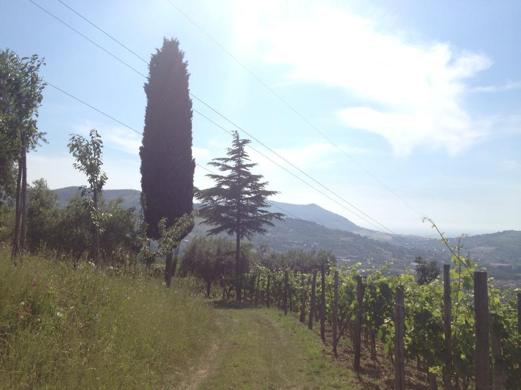 Villa Pandora Agropoli Ruang foto
